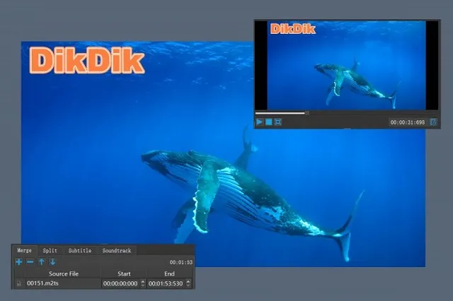 DikDik Video Kit 5.3.0.0 Crack + activation key 2022